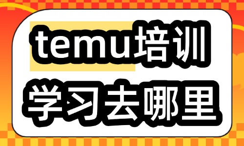 temu培训学习去哪里 - 美迪电商