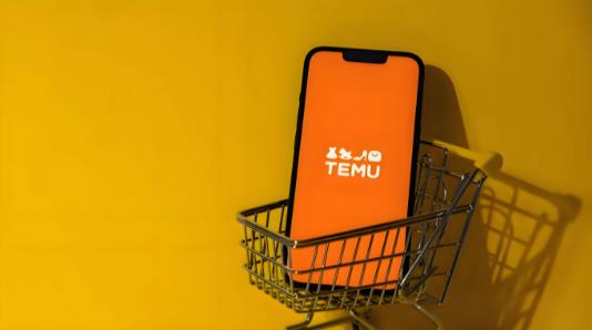 temu培训学习去哪里 - 美迪电商