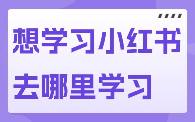 想学习小红书去哪里学习