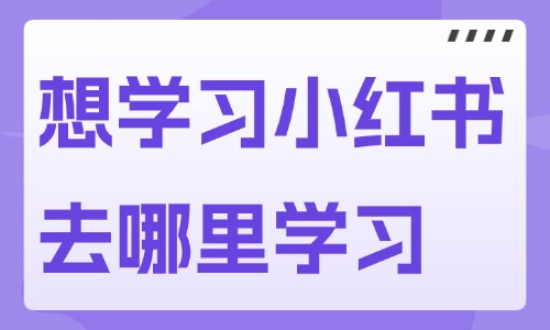 想学习小红书去哪里学习 - 美迪电商