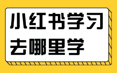 小红书学习去哪里学