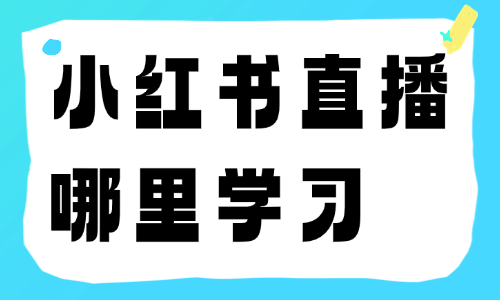 小红书直播哪里学习 - 美迪电商教育