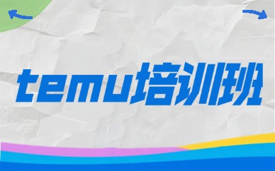 temu培训班