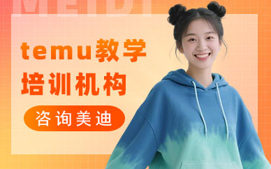 中山temu教学培训机构