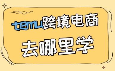 temu跨境电商去哪里学