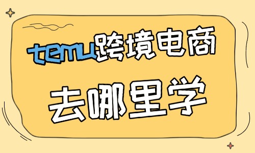 temu跨境电商去哪里学 - 美迪电商