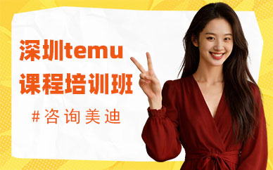 深圳temu课程培训班