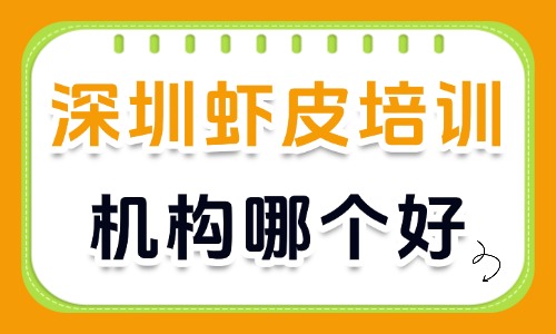 深圳虾皮培训机构哪个好?本地筛选标准与选课避坑指南 - 美迪电商教育