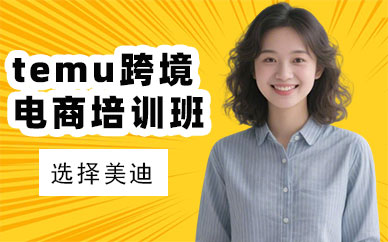 长沙temu跨境电商培训班
