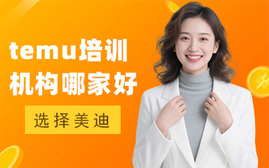 北京temu培训机构哪家好