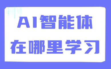 AI智能体在哪里学习