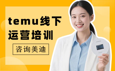 长沙temu线下运营培训班