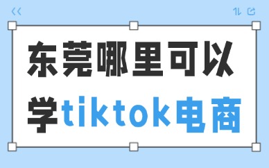 东莞哪里可以学习tiktok电商？来这家机构试试！