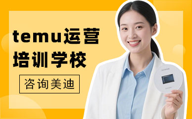 东莞temu运营培训学校