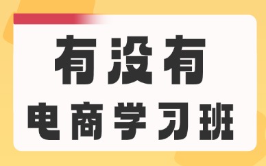 有没有电商学习班