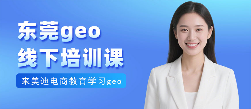 东莞geo线下培训课程 - 美迪电商教育
