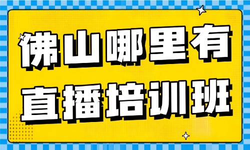 佛山哪里有直播培训班?本地机构深度盘点 - 美迪电商教育